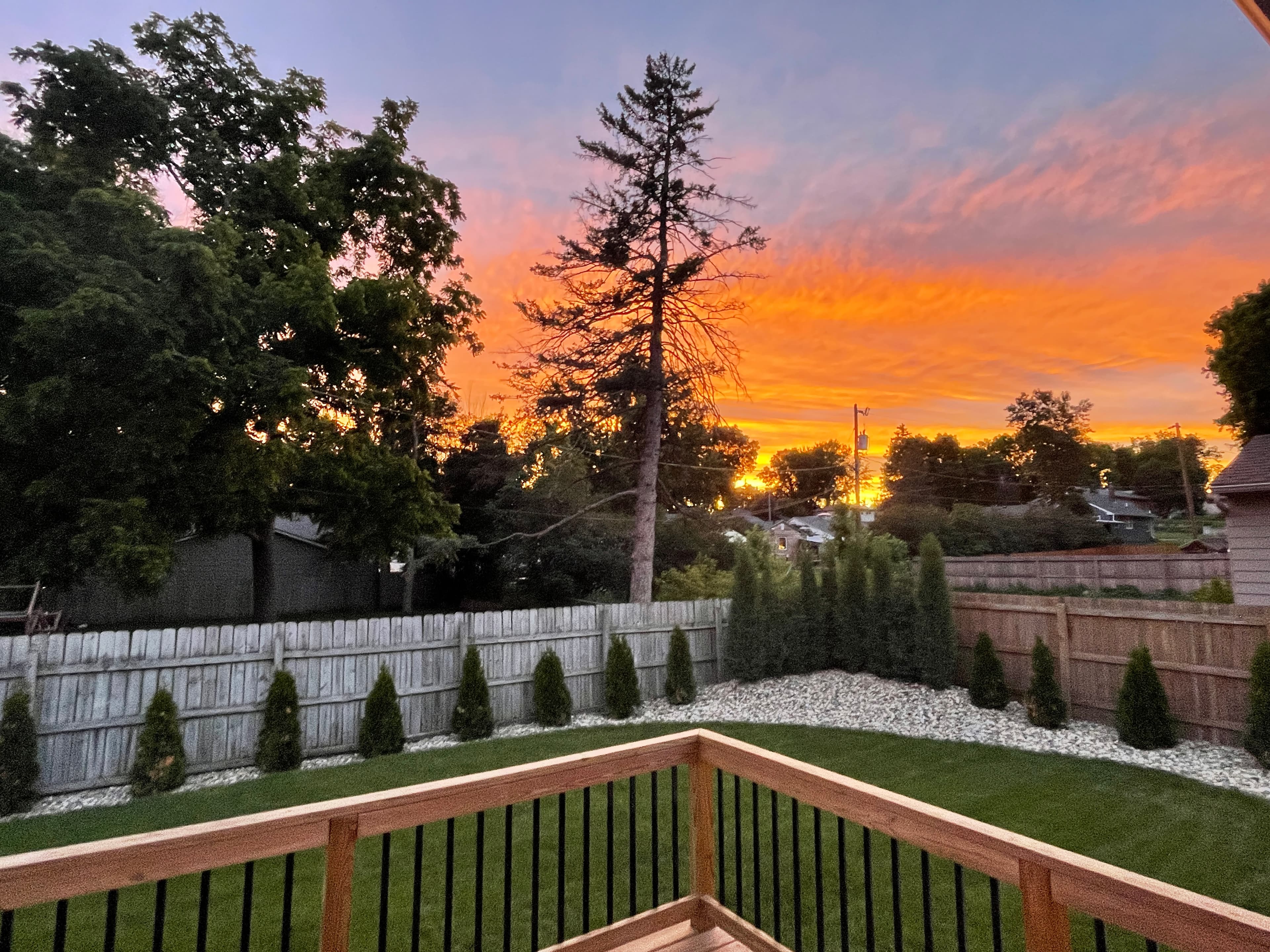 Backyard at sunset